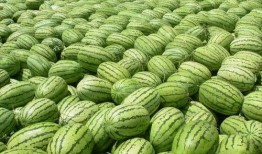 吃瓜真实爆料 网红大瓜在哪找,大瓜爆料，尽在吃瓜真实爆料