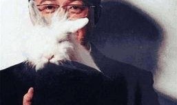 明星黑料 吃瓜蒙主间谍身份解析,吃瓜群众如何成为蒙主间谍？