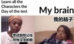 社会热点话题事件素材 抖音网红大鹅 明星黑料被澄清后能洗白吗,明星形象能否逆袭洗白？